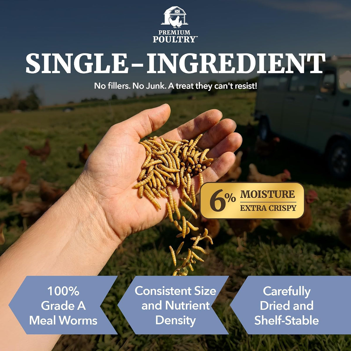 Mealworms for Chickens & All Birds, Non GMO & Organic, 5lb