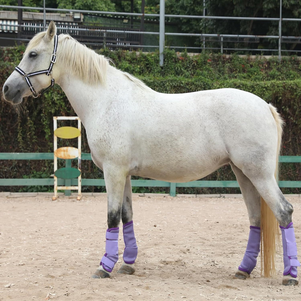 Horse Fly Boots Set of 4, Breathable Mesh Fly Boots for Horses