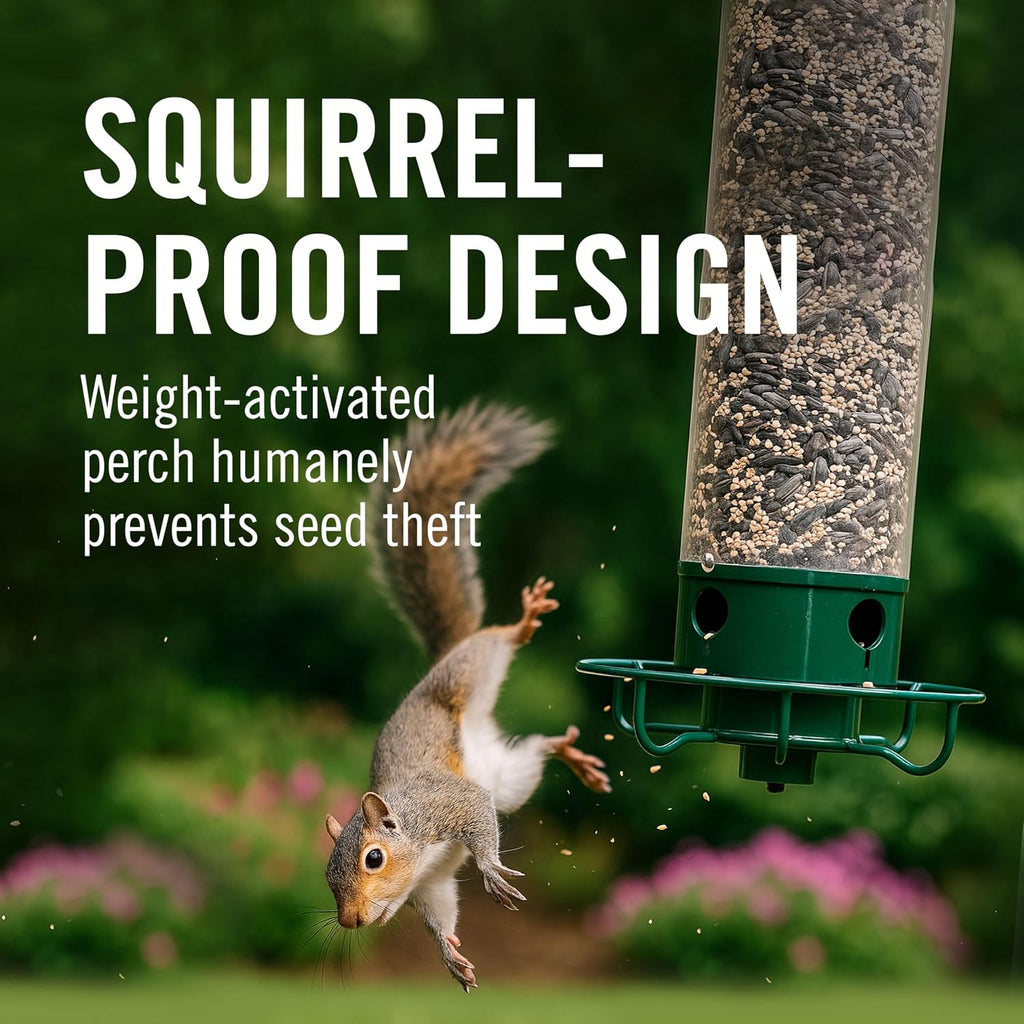 Squirrel Proof Bird Feeder for Outdoors, 5 lb Seed Capacity