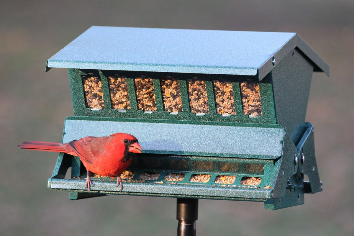 Absolute II Squirrel Resistant Bird Feeder Model 7536, 12 lbs, Model:301045