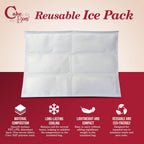 8" Insulated Cake Bag with Ice Pack Cooler Carrier 1Pack