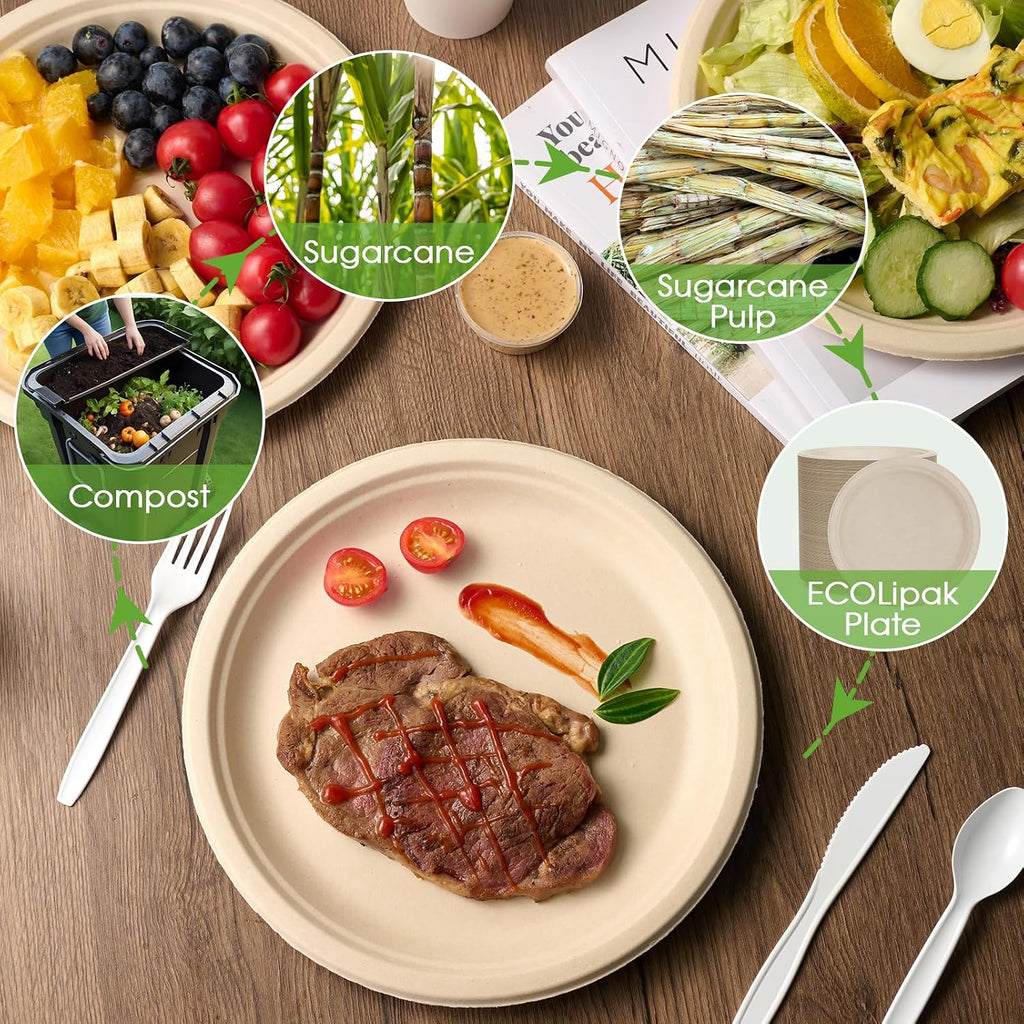 150 Pack 10 inch Compostable Disposable Paper Plates for Party
