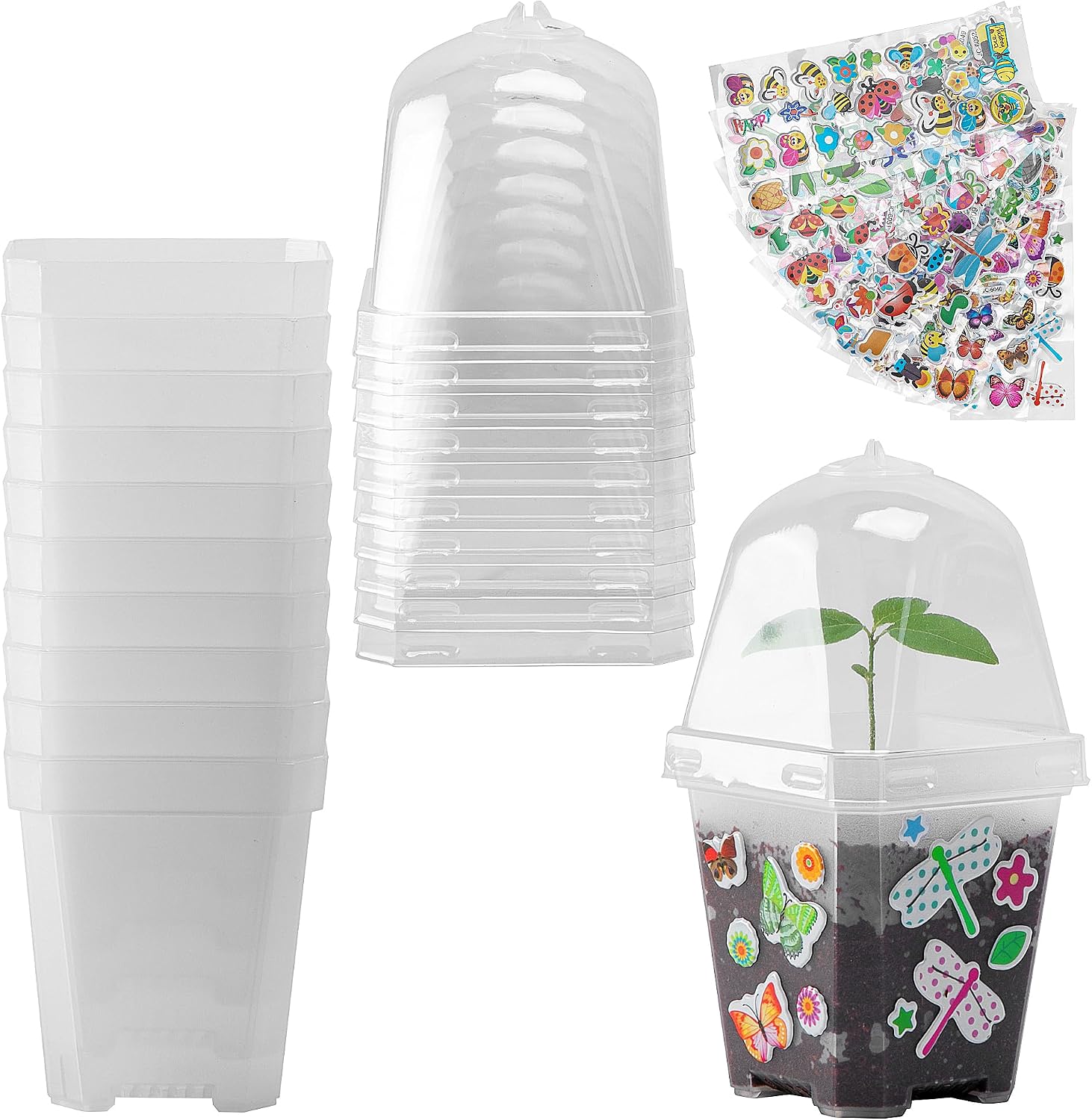 10 Pack 3 Inch Clear Plant Nursery Pots with Humidity Domes | Reusable Plastic Gardening Pot with Printed Labels