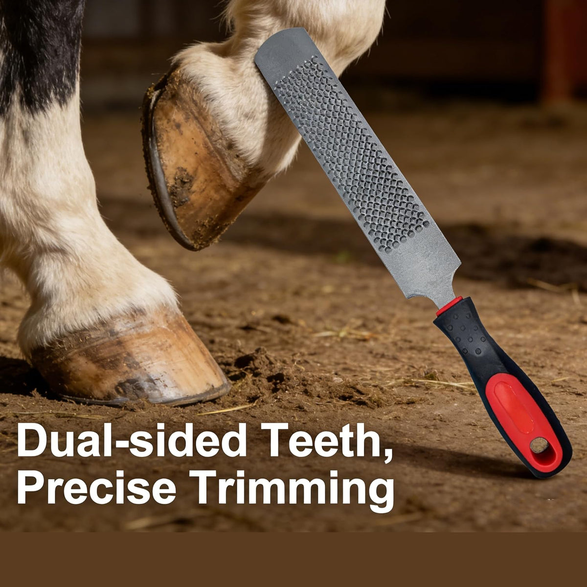 Farrier Rasp, Hoof Rasp File Professional Horse Hoof Trimming Tool