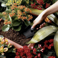 Garden Hand Tools Set Fiber Composite - Garden Trowel, Transplanter and Cultivator - Extra Strength Nylon Fiberglass