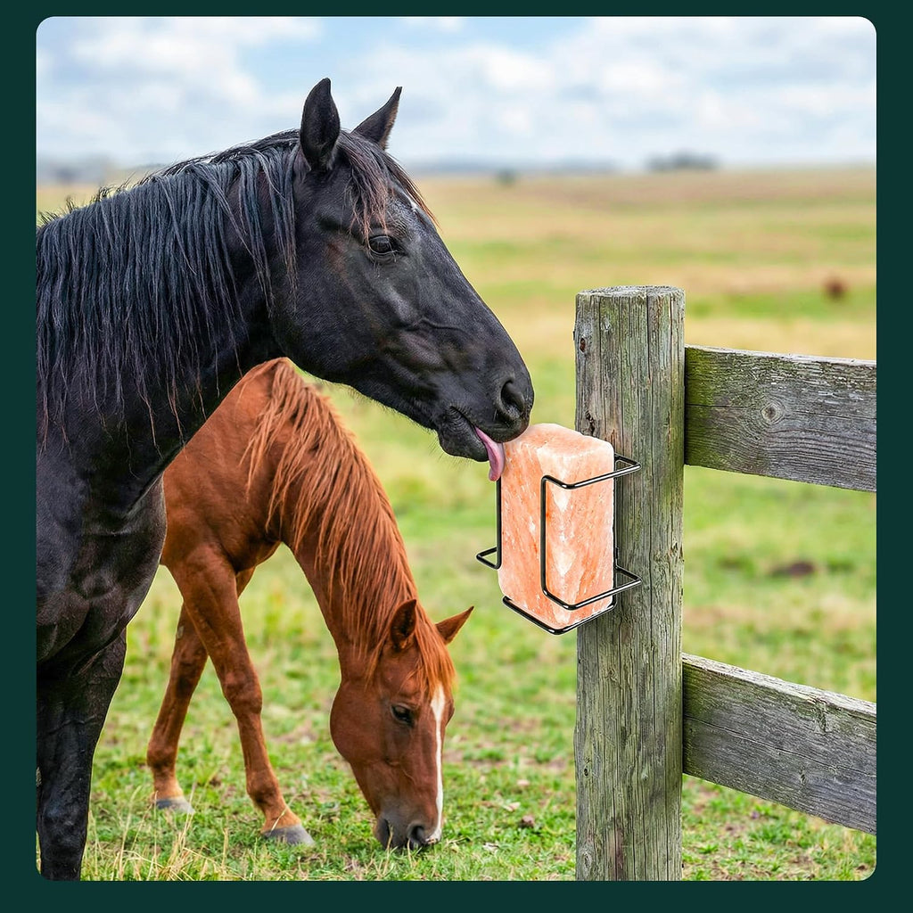 2 Pcs Salt Block Holder for Deer Blocks,Rust Resistant Mineral Block Holder,Salt Lick Block Holder for Horses Deer