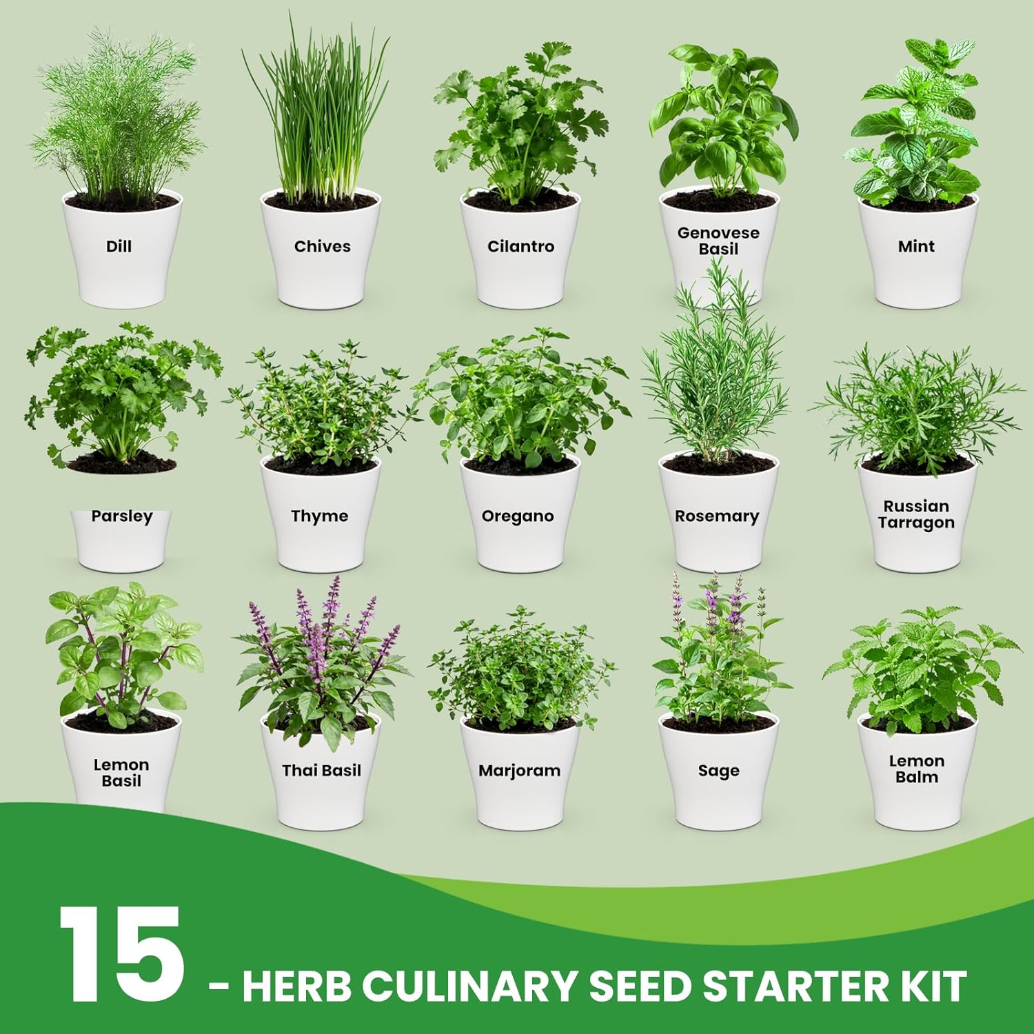 Herb Garden Starter Kit – Fruivity 12800+ 15 in 1 Herb Heirloom Seed Kits for Indoor/Outdoor Planting | Herb Indoor
