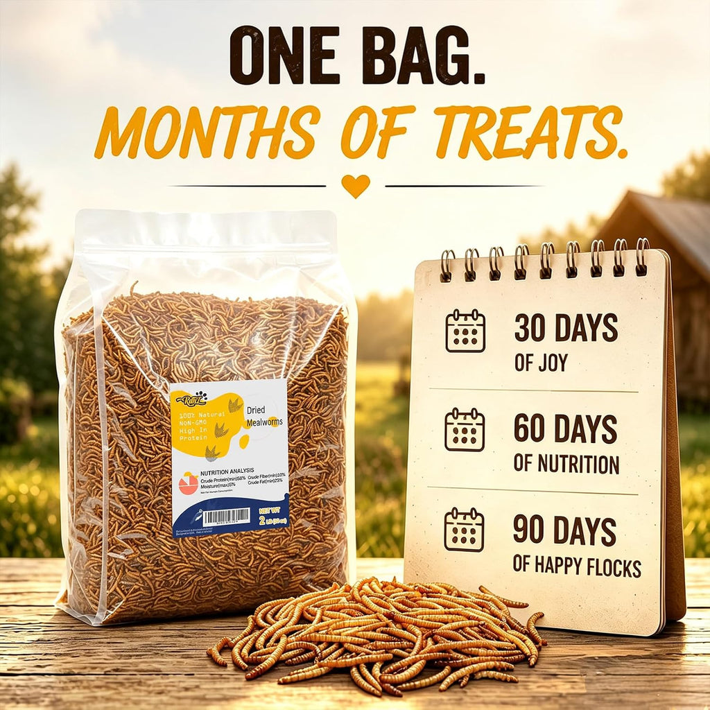 2LB Dried Mealworms for Chickens & Wild Birds, Chicken Food