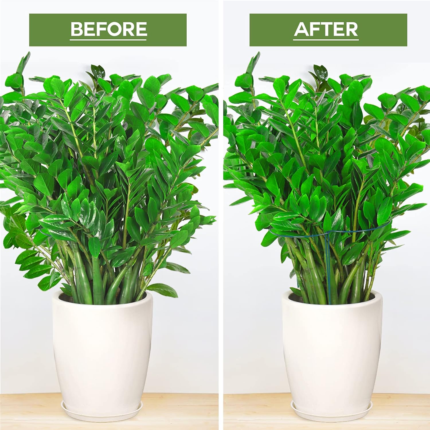 Plant Support Plant Stakes, 6pcs Peony Cages and Supports, Metal Garden Stakes Plant Supports, Plant Support Stakes