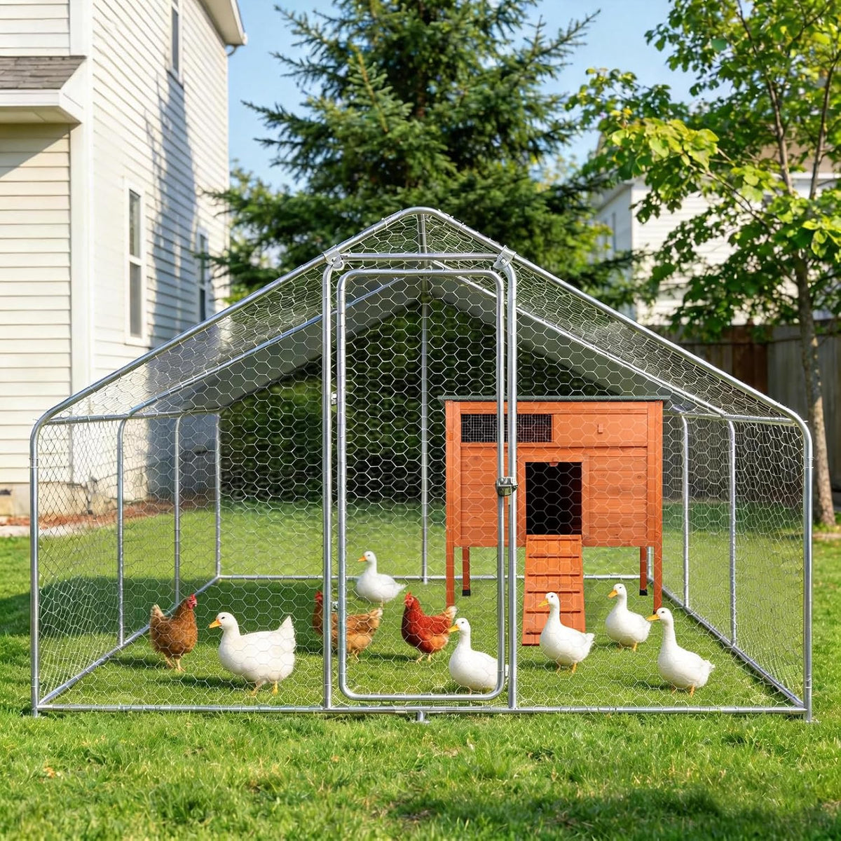 Wooden Duck Coop, Duck House for Outside with Larger Windows