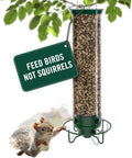 Squirrel Proof Bird Feeder for Outdoors, 5 lb Seed Capacity