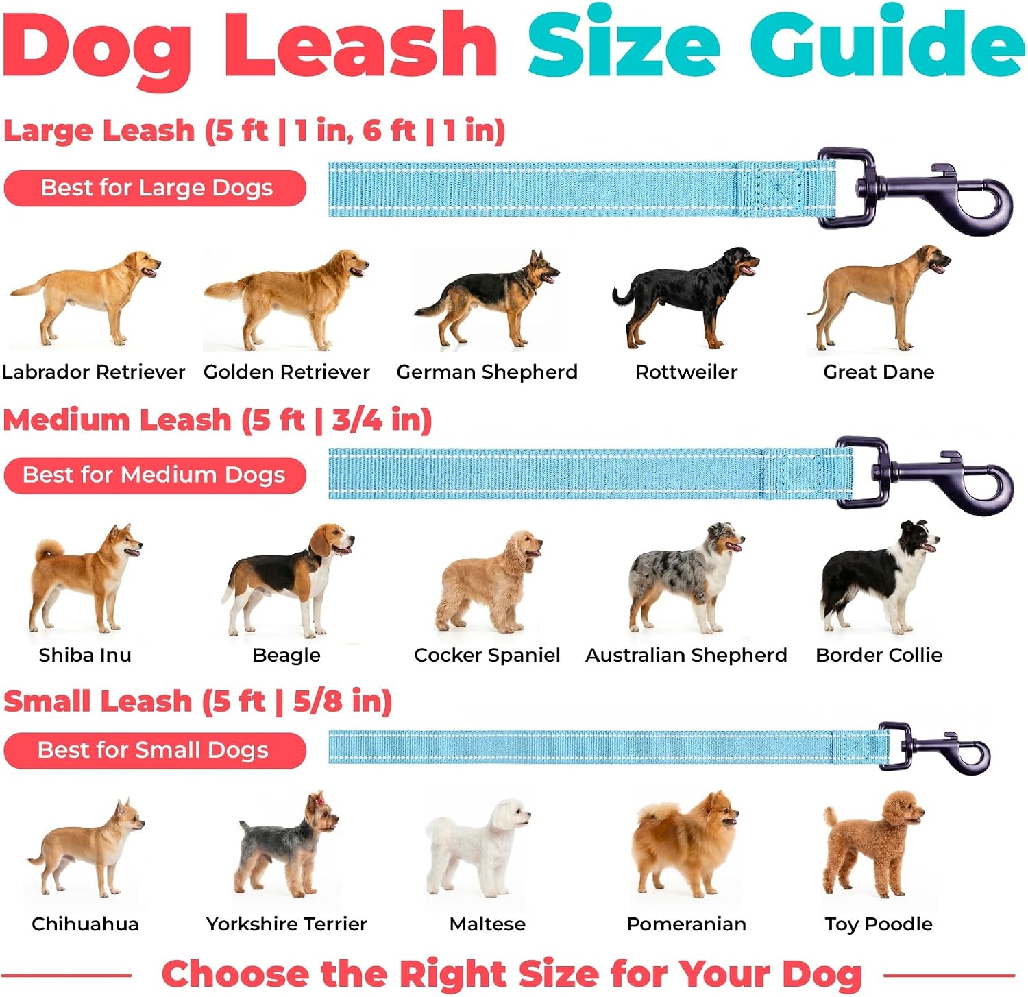 Voyager Reflective Dog Leash or Collar with Neoprene Handle, for Small, Medium, and Large Breed Puppies, Cute and