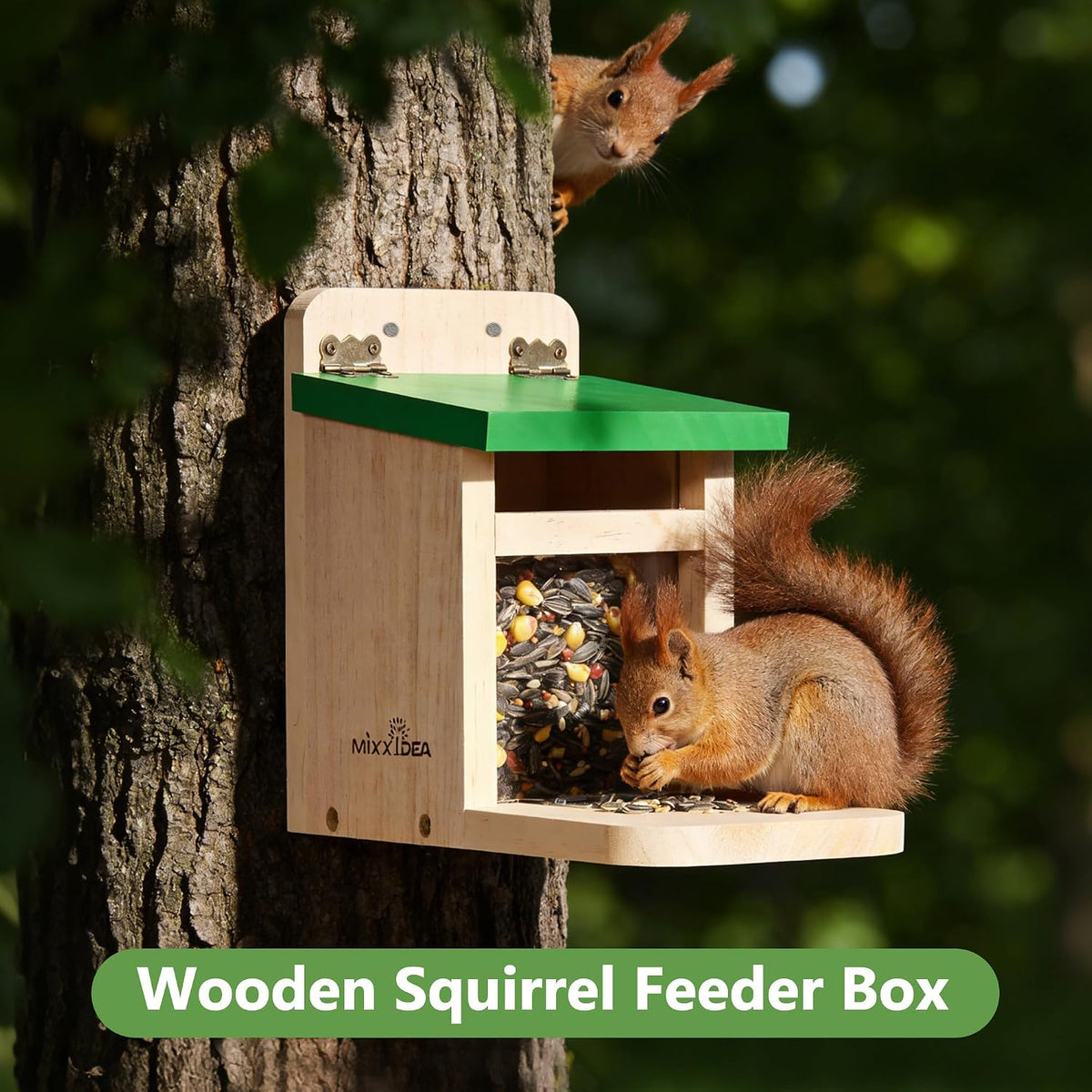 Squirrel Feeders for Outside Garden, Wooden Squirrel Feeder Box,Squirrel Feeding Stations with Green Cover, Easy to