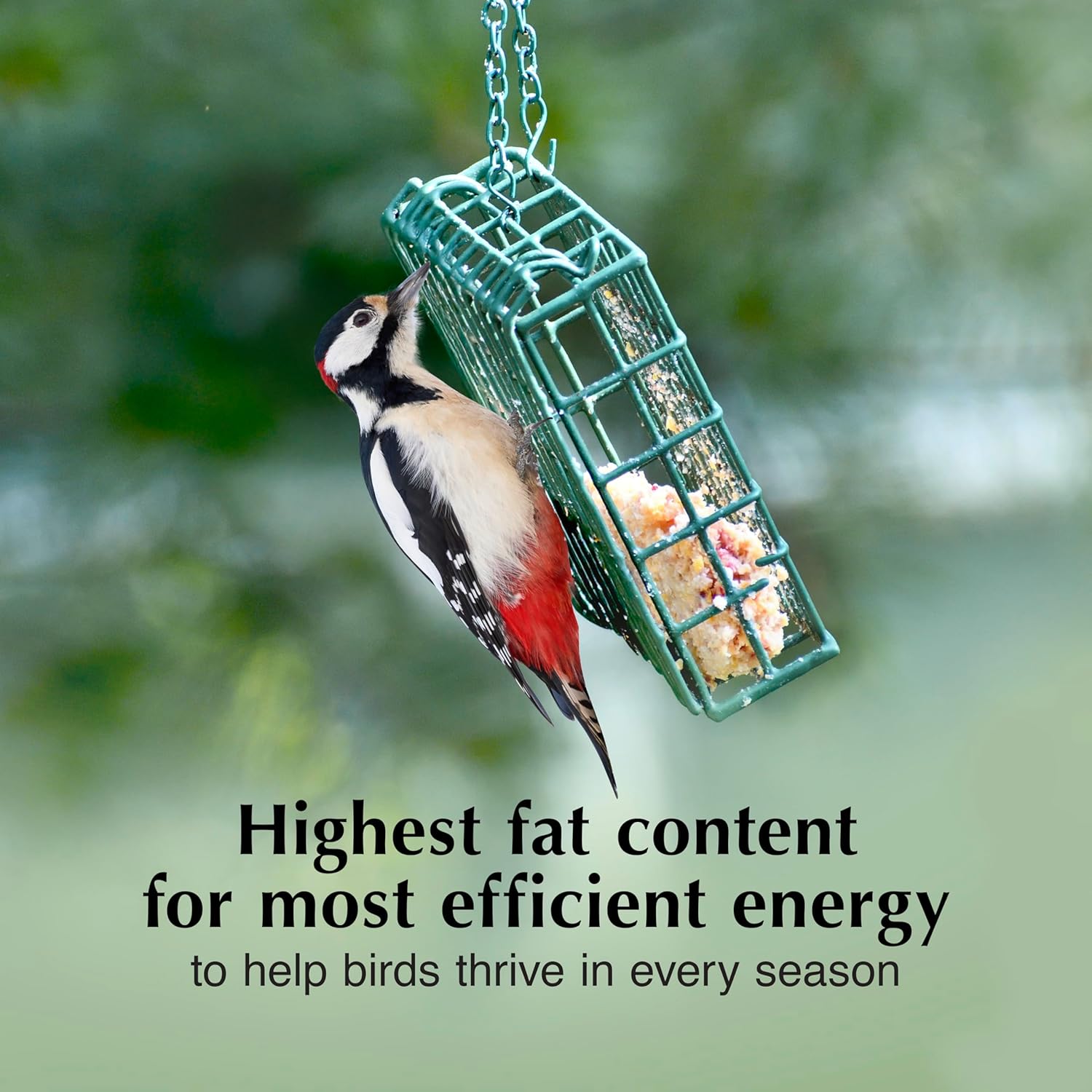 Peanut Butter Delight No Melt Suet Dough, Suet Cakes for Wild Birds | Peanut Butter suet, year-round no melt formula