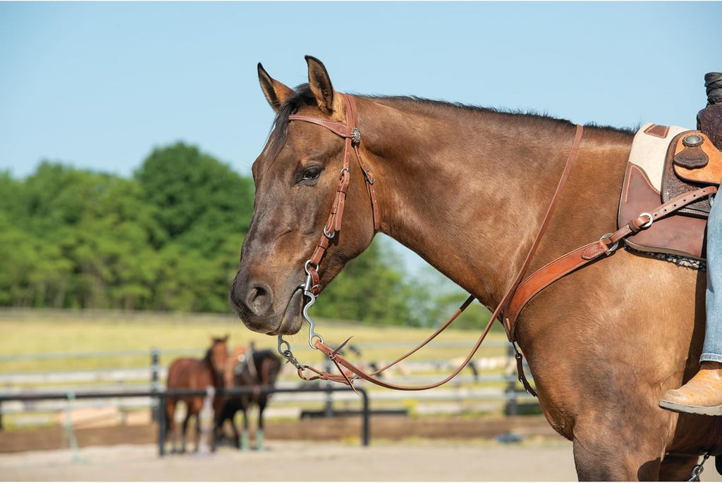 Stacy Westfall Horse Headstall, Leather, Adjustable Fit