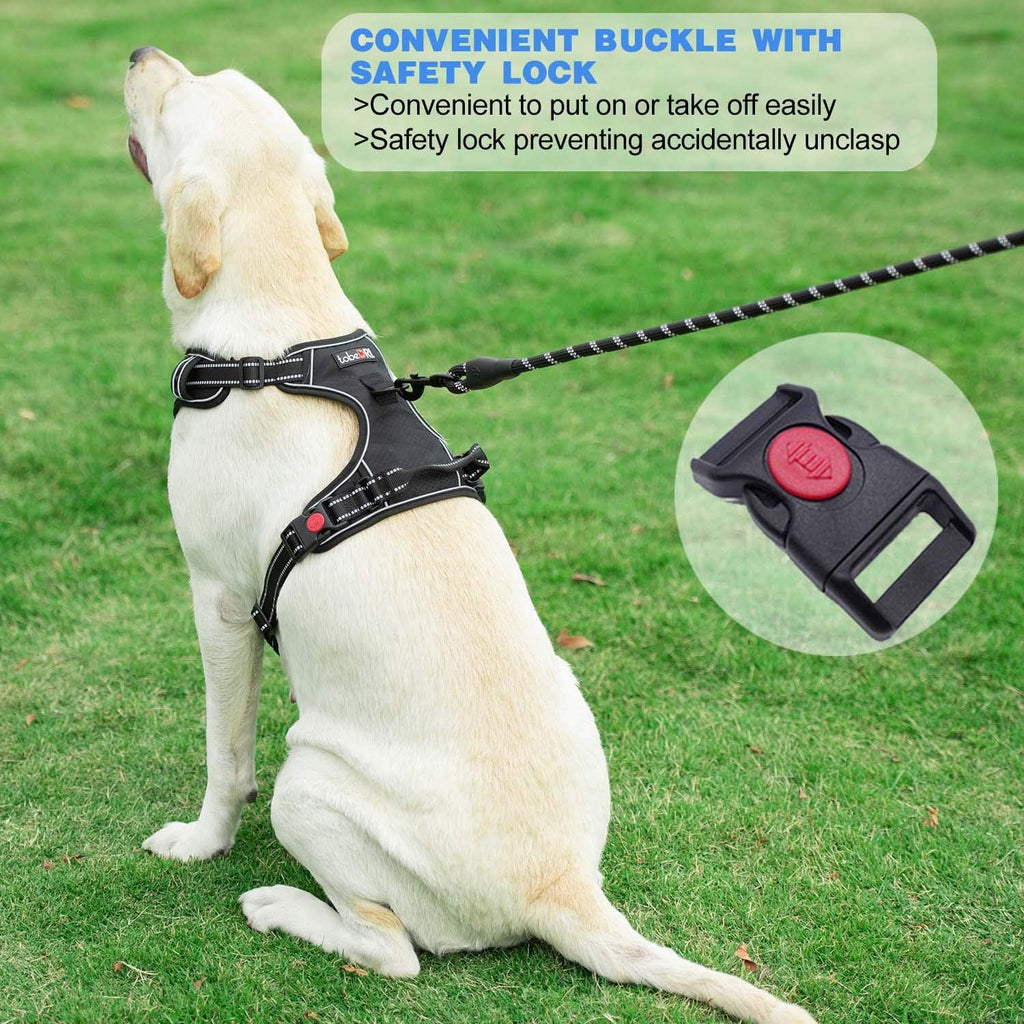 No Pull Dog Harness Adjustable Reflective Oxford Easy Control Medium Large Dog Harness with A Free Heavy Duty 5ft Dog
