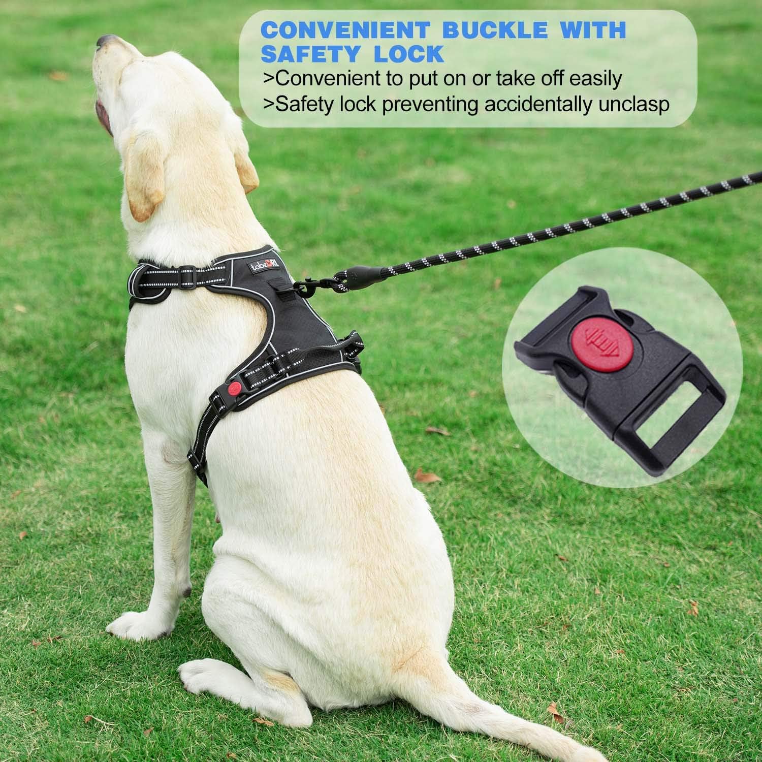 No Pull Dog Harness Adjustable Reflective Oxford Easy Control Medium Large Dog Harness with A Free Heavy Duty 5ft Dog