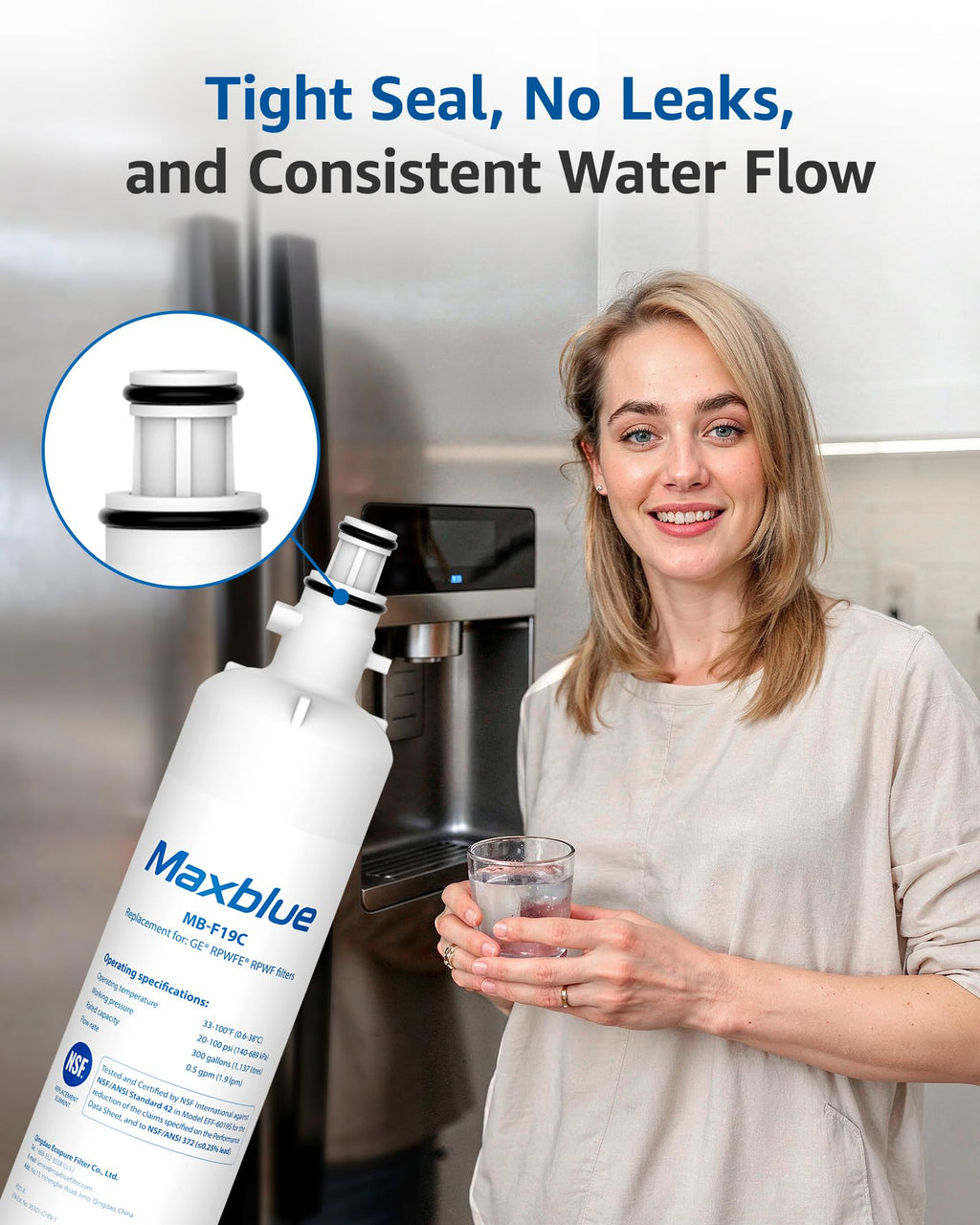 MB-F19C Water Filter Replacement for GE RPWFE, 2 Pack