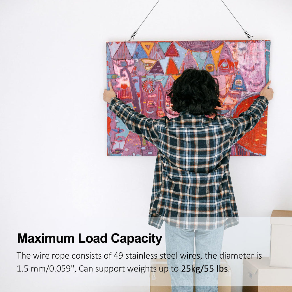 2 Pack Picture Hanging Wire Kit with D Rings - 25kg Load Capacity