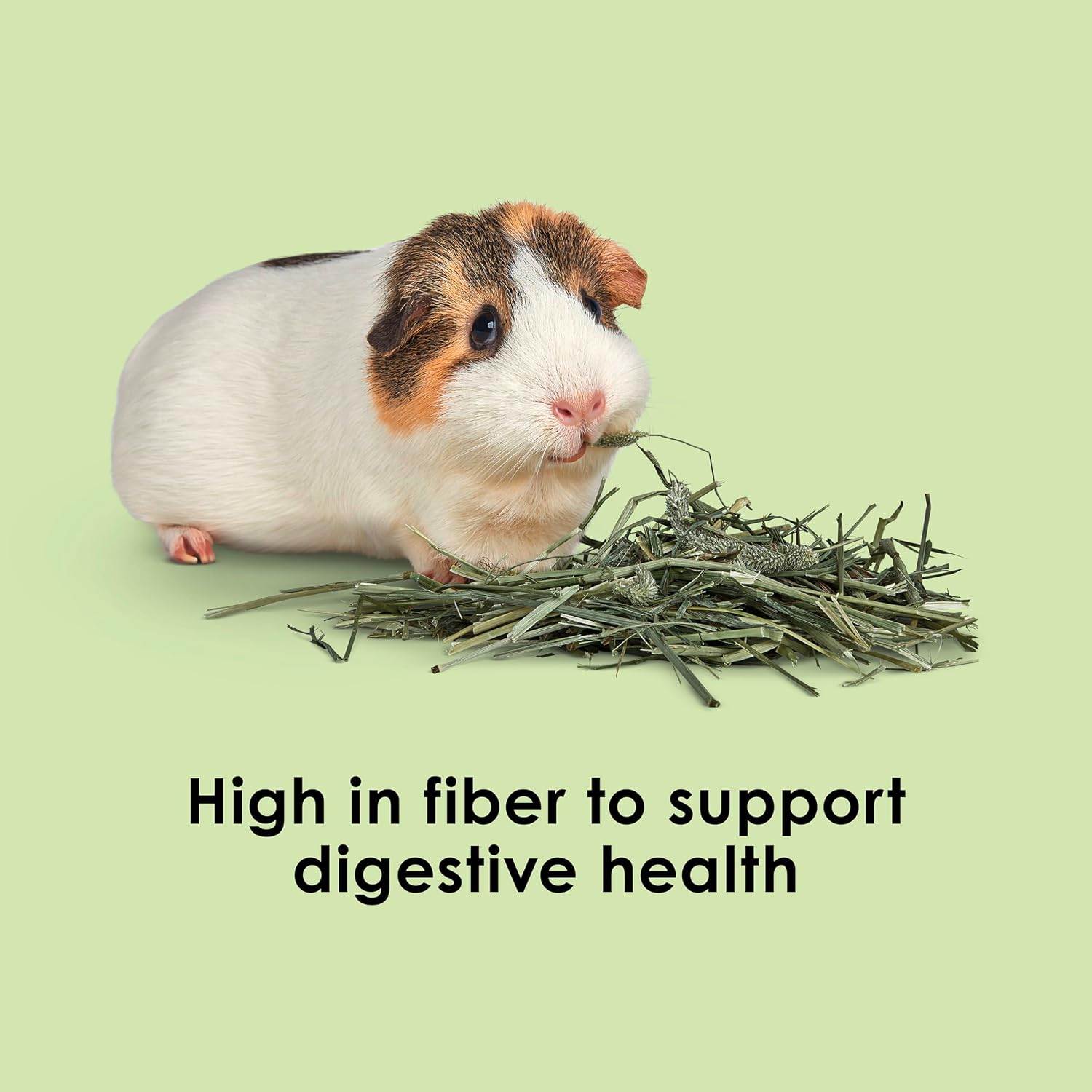 Timothy Hay, High Fiber for Rabbits, Guinea Pigs, 96 Ounces | Supports digestive health. Hand-selected rabbit hay.