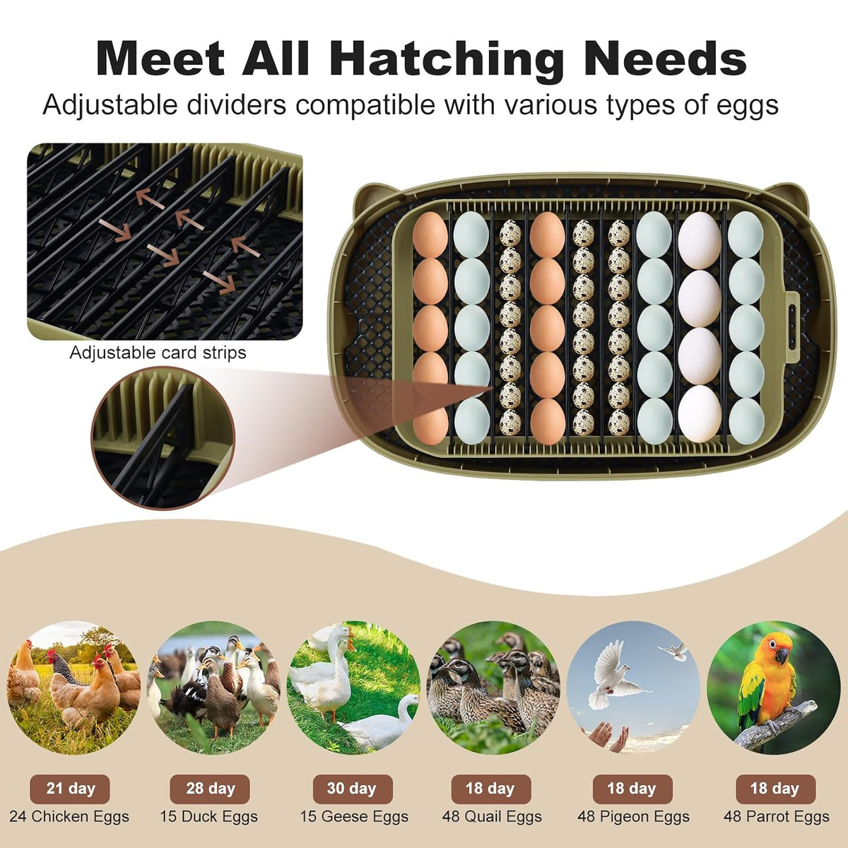 Incubators for Hatching Eggs,Smart 24 Egg Incubator with Automatic Egg Turning and Humidity Control,High Hatch Rate