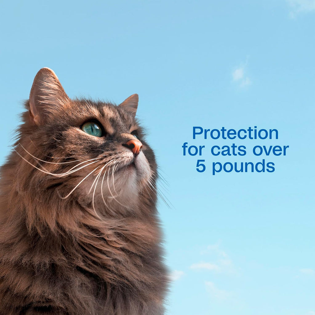 Plus Flea and Tick Prevention Spot On for Cats, 3 Pack