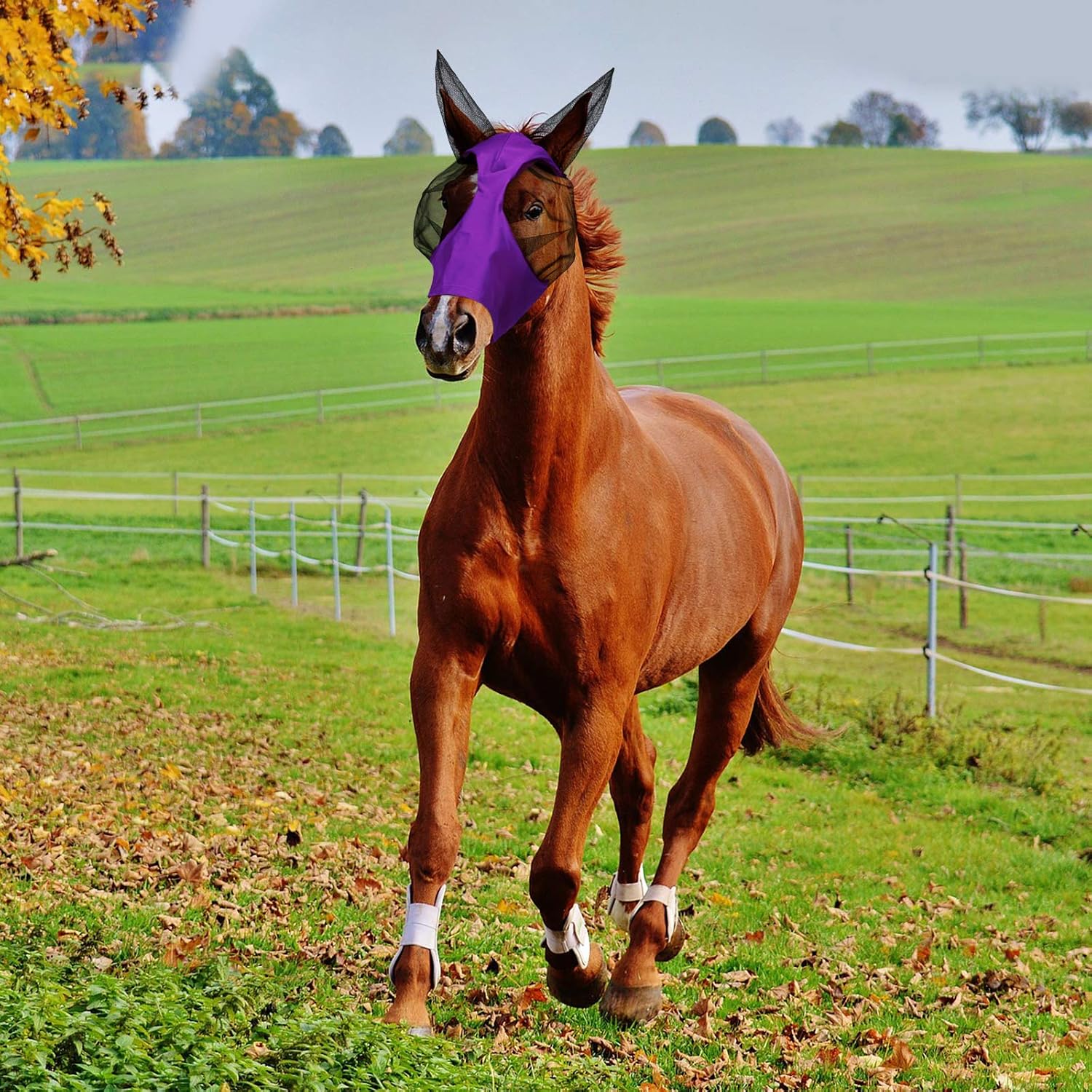 3 Pcs Horse Fly Mask with Ears UV Protection Full Face Fly Masks for Horses Elastic Smooth Breathable Comfortable Fit