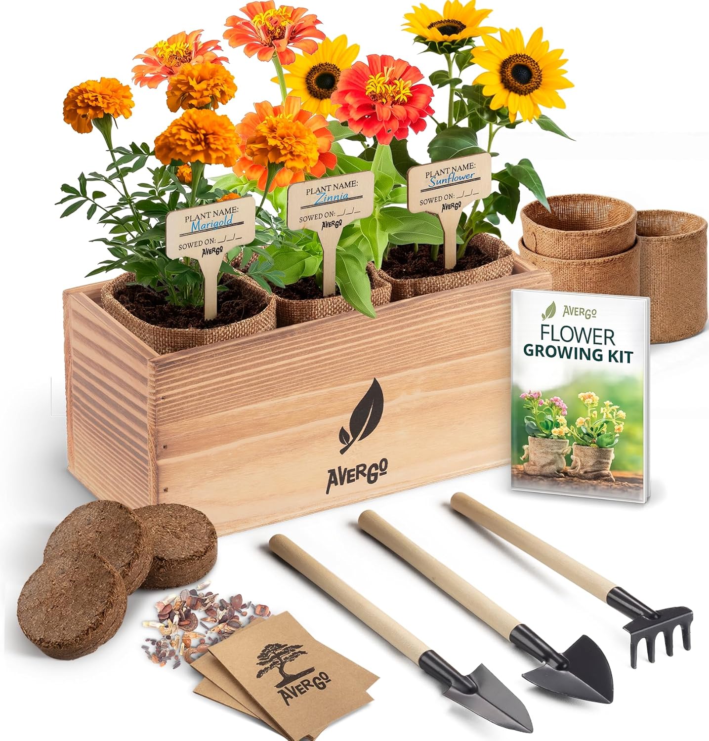 Sunflower, Marigold & Zinnia Flower Seeds Growing Kit | Complete Indoor & Outdoor Kit with Seeds for Planting