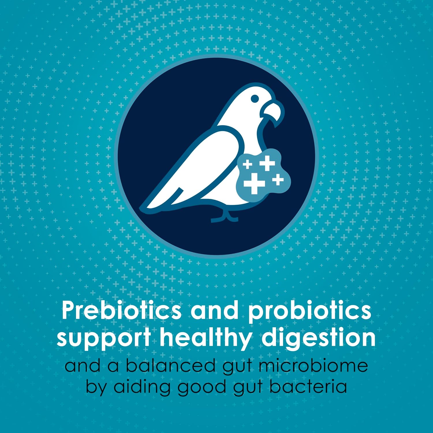 Forti-Diet Pro Health Nourish+Protect Conure & Lovebird Food, 4 lb | Balanced digestion. Conure food with prebiotics