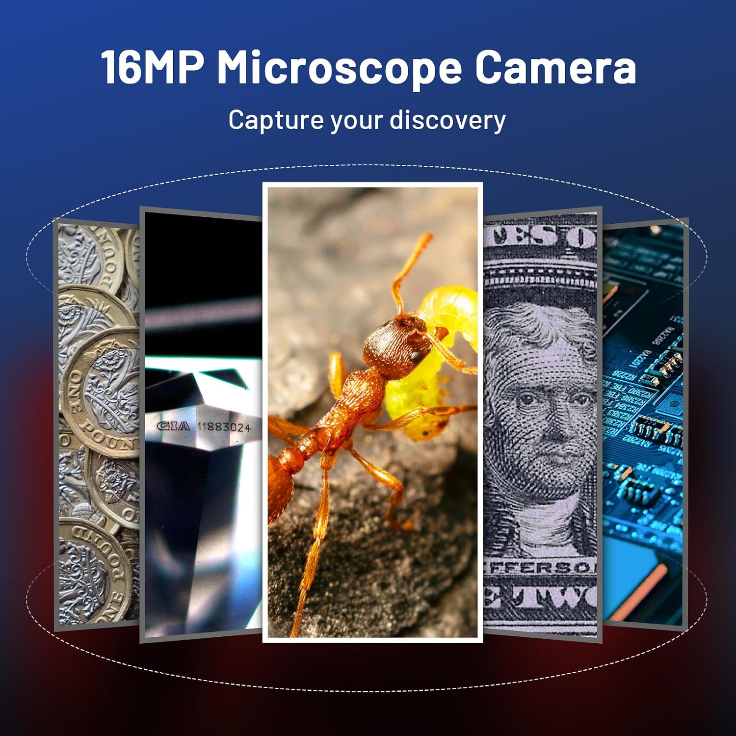 P10 Microscope for Adults Kids, Handheld Coin Magnifier with Light for Error Coins, Portable Trichome Magnifying