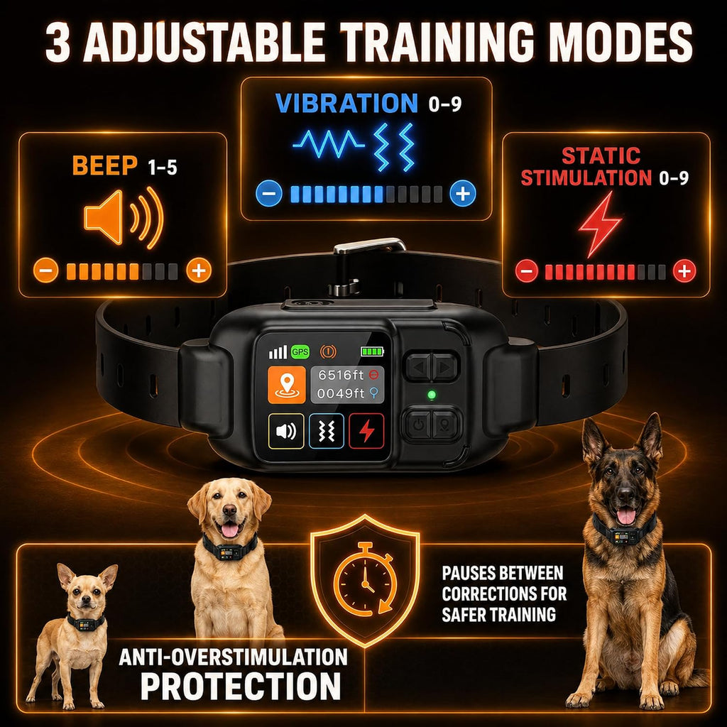 GPS Dog Collar Fence System, Wireless Dog Fence System