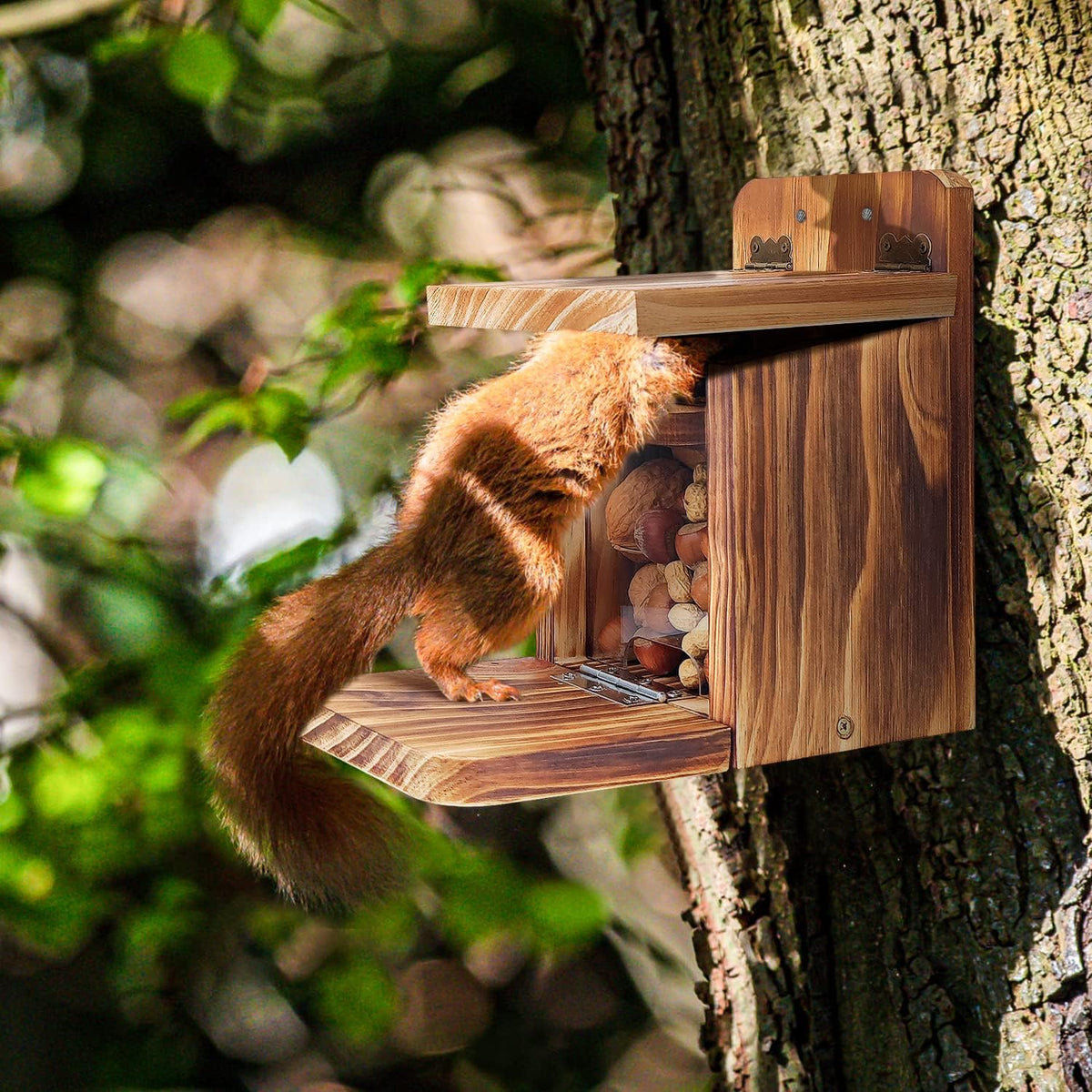 Wooden Squirrel Feeder Box, Sturdy Squirrel Feeding House with Thickness 1.5CM Wood, No Assembly Required, for