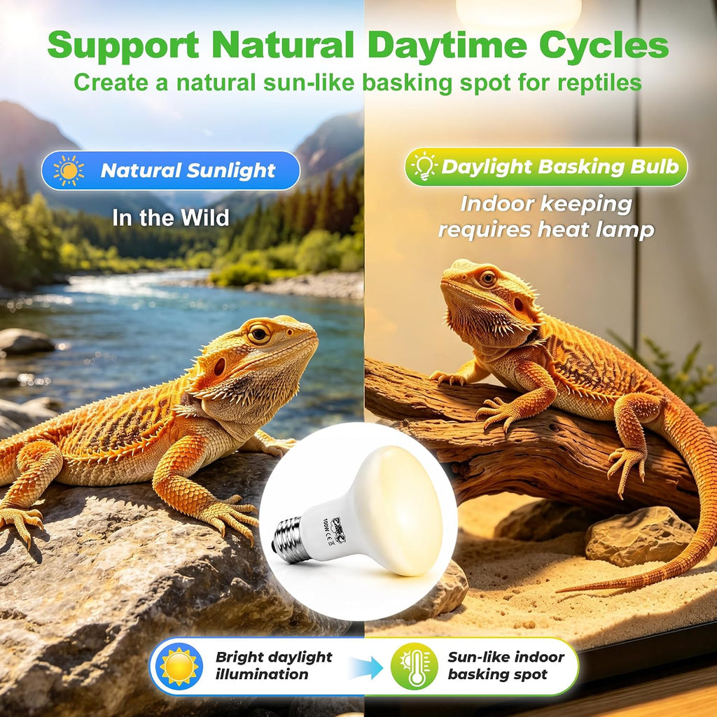Reptile Heat Lamp Bulbs 100W, UVA Daylight Basking Bulbs 2 Pack | Fast Heating, Simulates Natural Sunlight, Ideal for