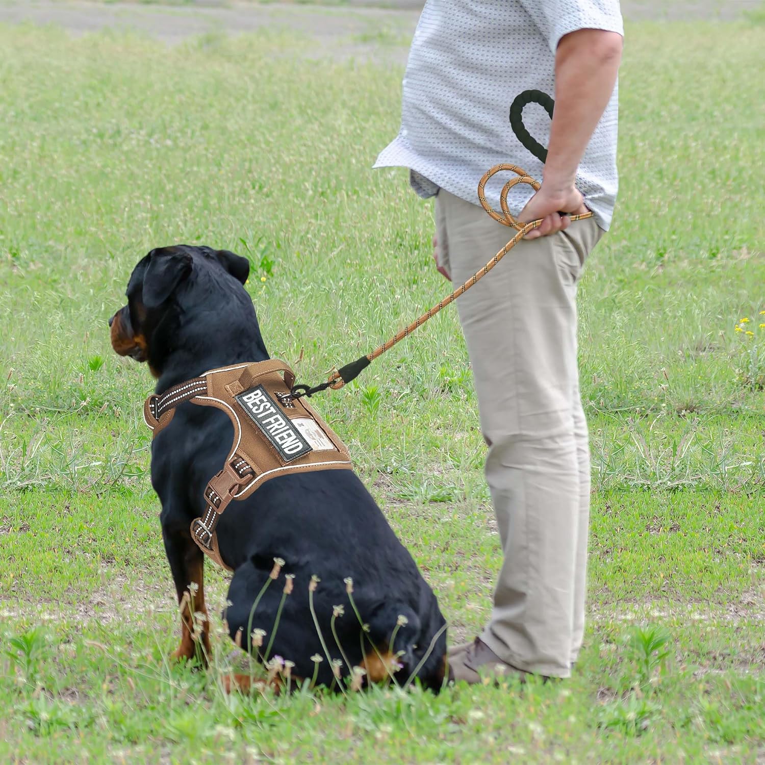 Heavy Duty Tactical Dog Harness for Small Dogs, No Pull Adjustable Pet Harness Reflective Service Training Easy