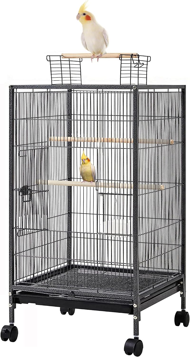 36-Inch Deluxe Sturdy Wrought Iron Bird Flight Open Play Top Cage with Rolling Stand for Parrots Conure Lovebird