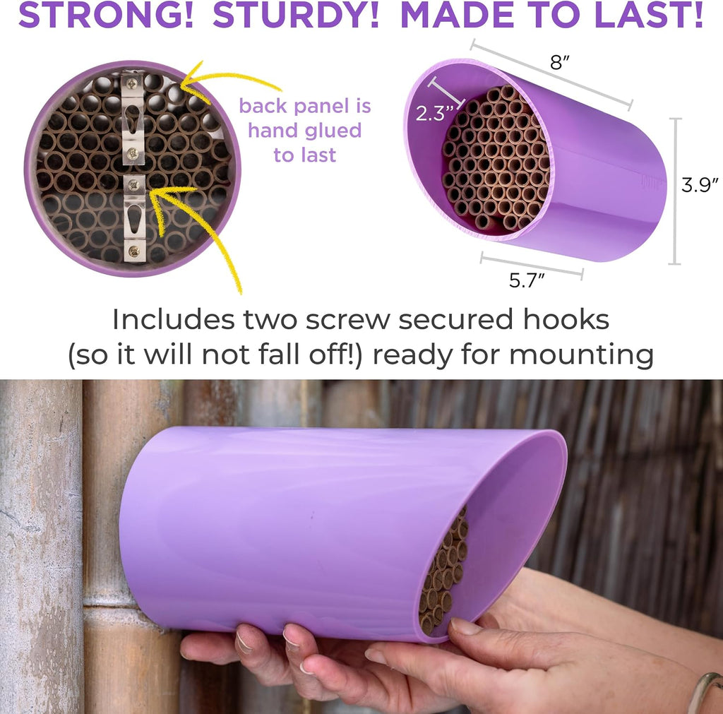 Color Splash Mason Bee House - Vibrant & Strong Waterproof Bee Hotel & Insect Habitat - Mason Bee Tubes Filled Bee