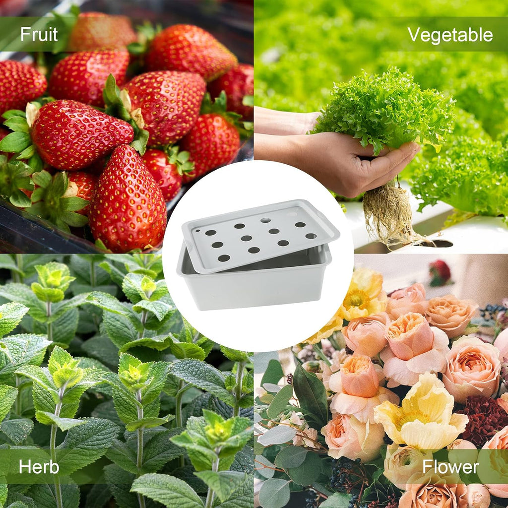 Indoor Hydroponic Grow Kit 12 Sites Deep Water Culture System | Hydroponic Garden Kit with Air Pump, Bubble Stone &