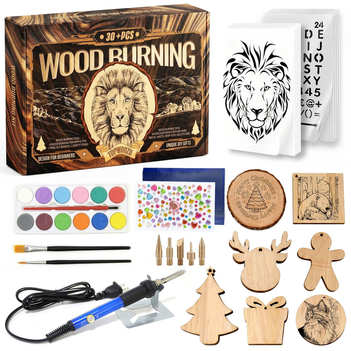 Wood Burning Tool Kit for Adults Beginners Christmas Gifts for Men