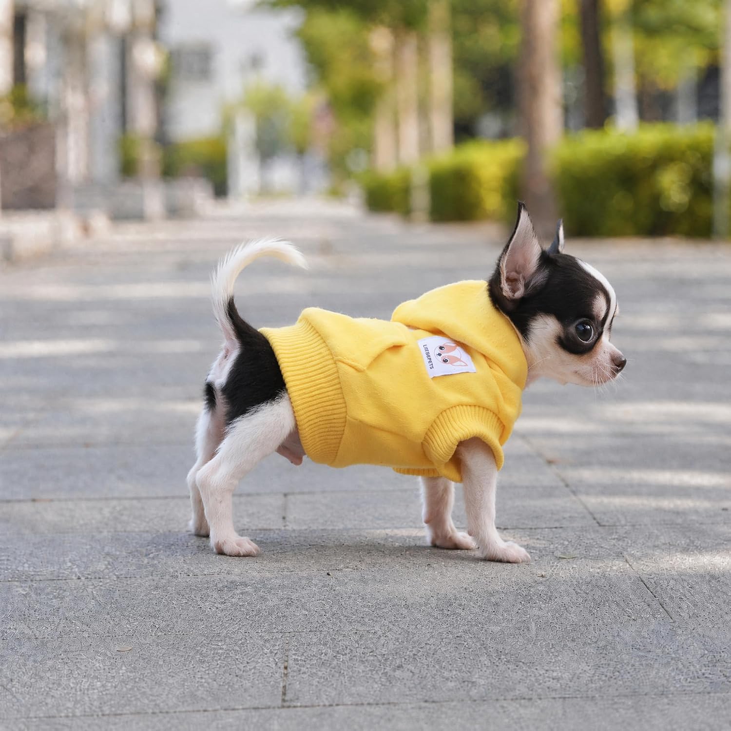 Dog Cotton Hoodies Sweatshirts for Small Dogs Chihuahua Puppy Clothes Cold Weather Coat-Yellow/XXS