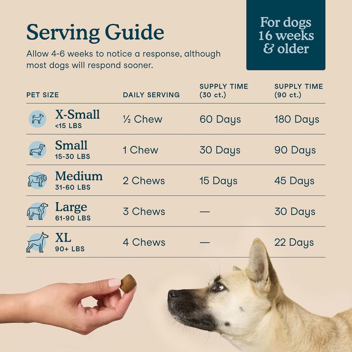 Dog Multivitamin Chews with Probiotics, 90 Chews