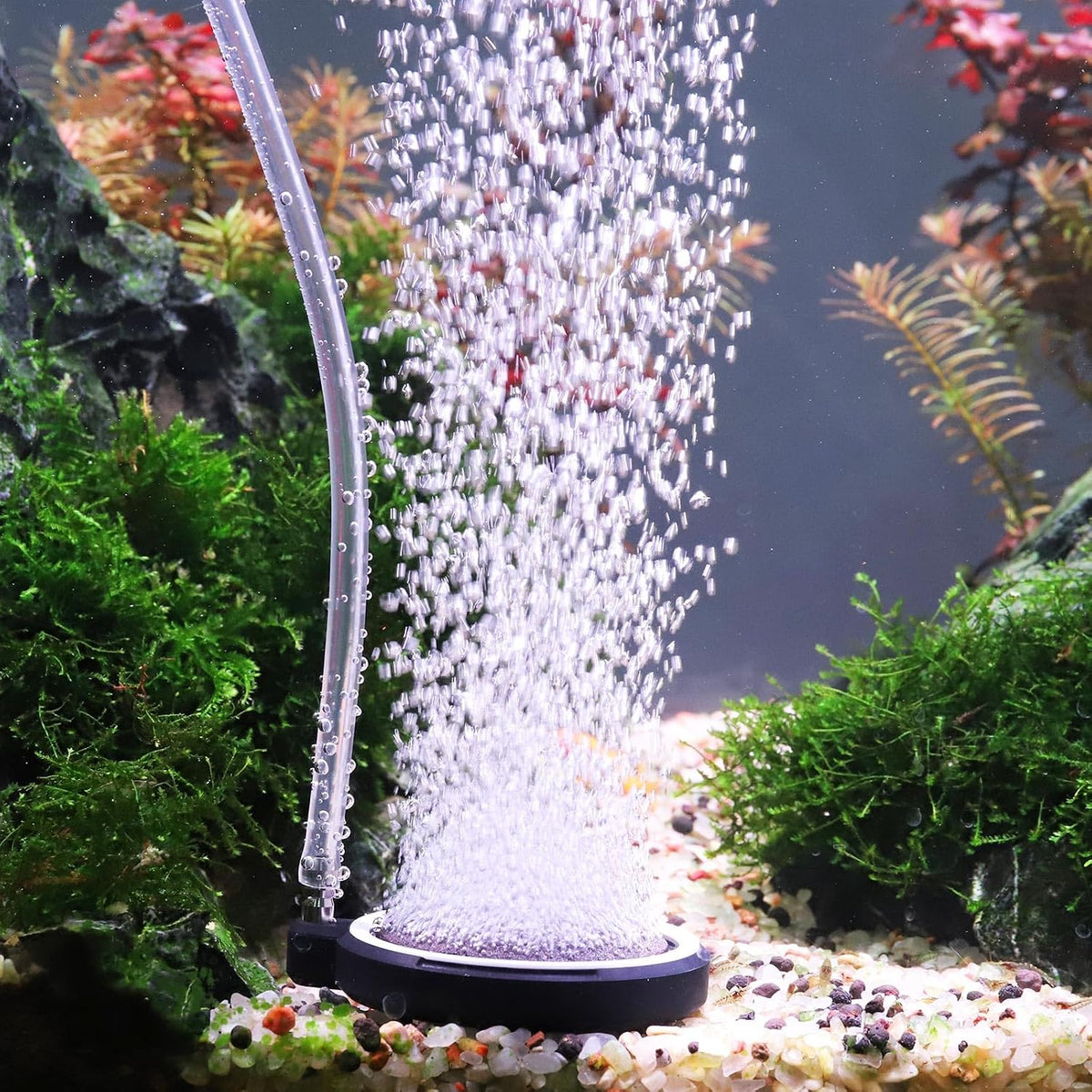Air Stone for Aquarium: Quiet High Dissolved Oxygen Diffuser Kit for Freshwater or Saltwater Fish Tank and Hydroponic