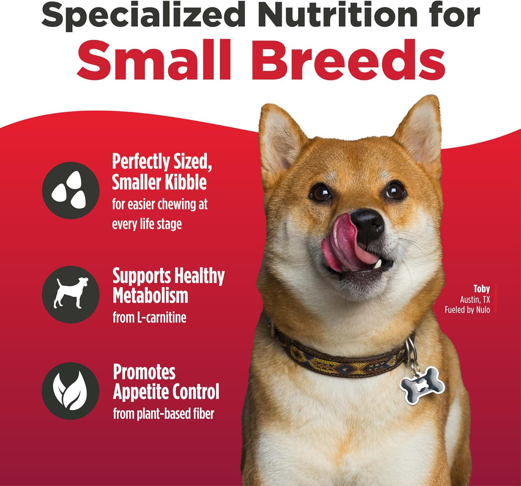 FreeStyle Small Breed Dog Food Dry - Salmon & Lentils, Puppy & Adult Grain Free Dog Food, Natural, High Protein