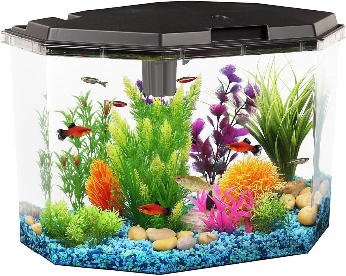 6.5-Gallon Aquarium Kit with Power Filter and LED Lighting, (AP650)