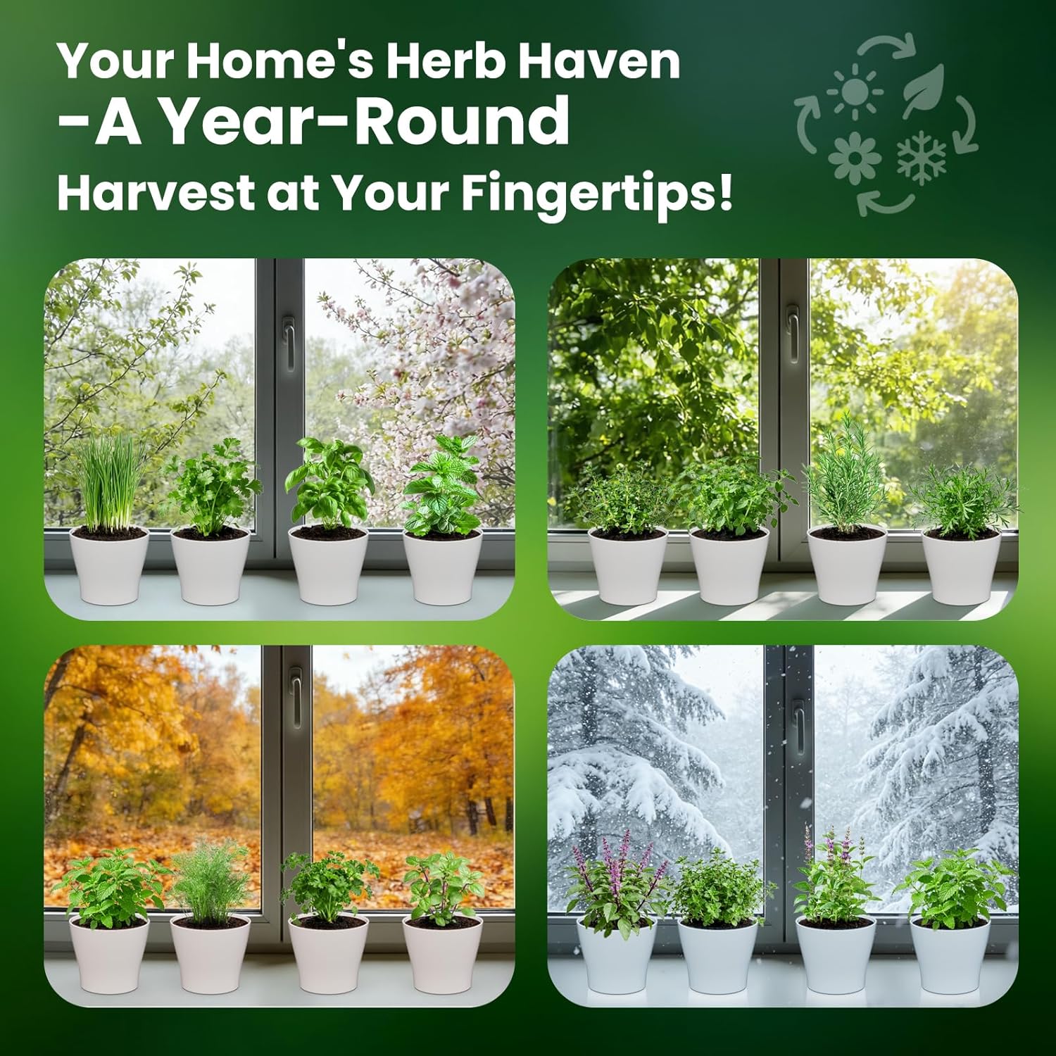 Herb Garden Starter Kit – Fruivity 12800+ 15 in 1 Herb Heirloom Seed Kits for Indoor/Outdoor Planting | Herb Indoor