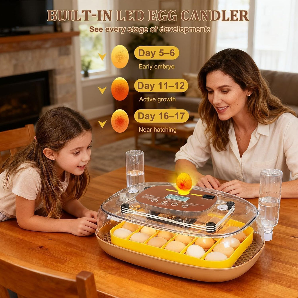 Series III - 24 Egg Incubator for Hobbyists, Full-Stage Adaptive Humidity (Dual-Bottle) & Temp Control