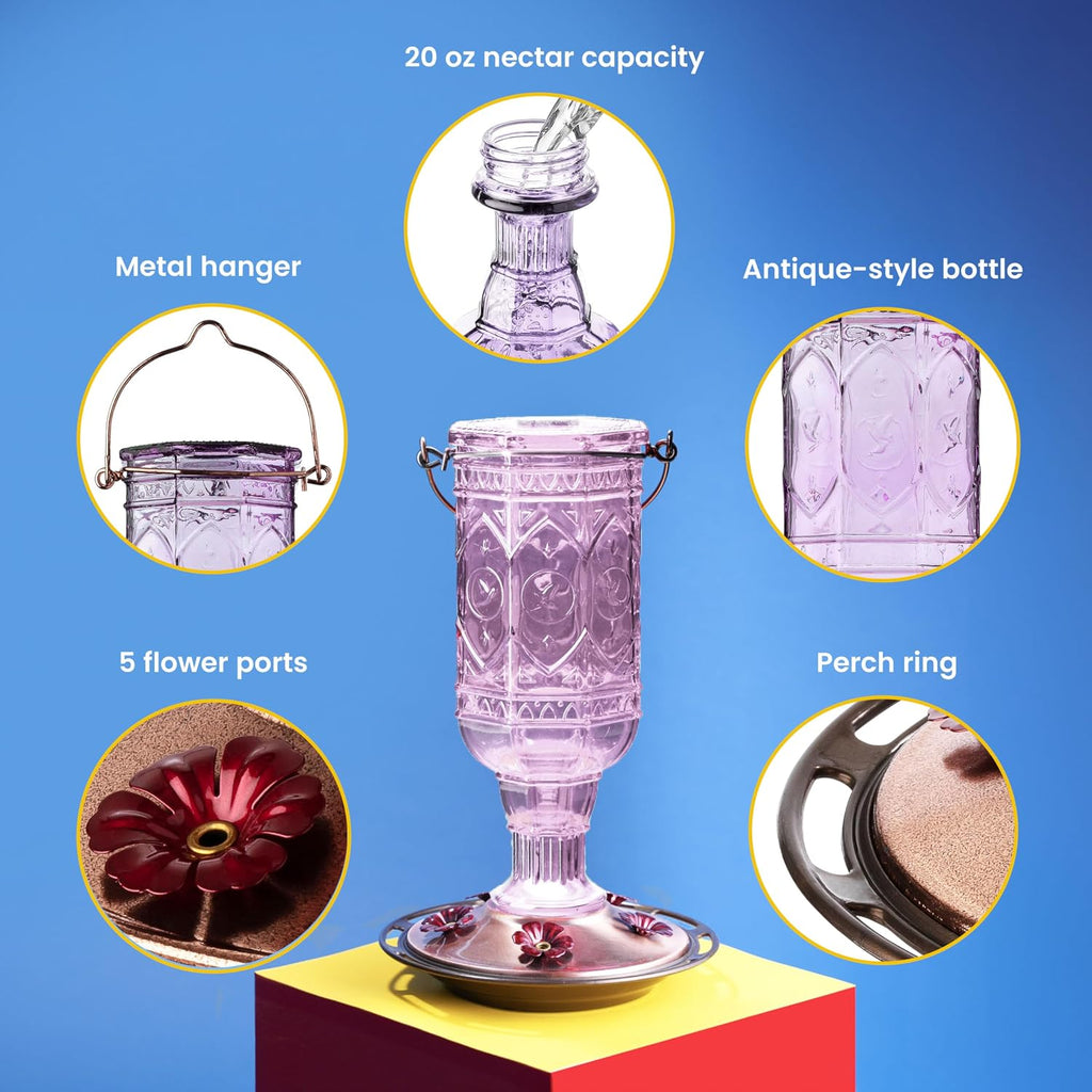 Amethyst Jewel Hummingbird Feeder - 77IN - 20 Fl Oz Nectar Capacity - Hummingbird Feeder for Outdoors - Feed 5