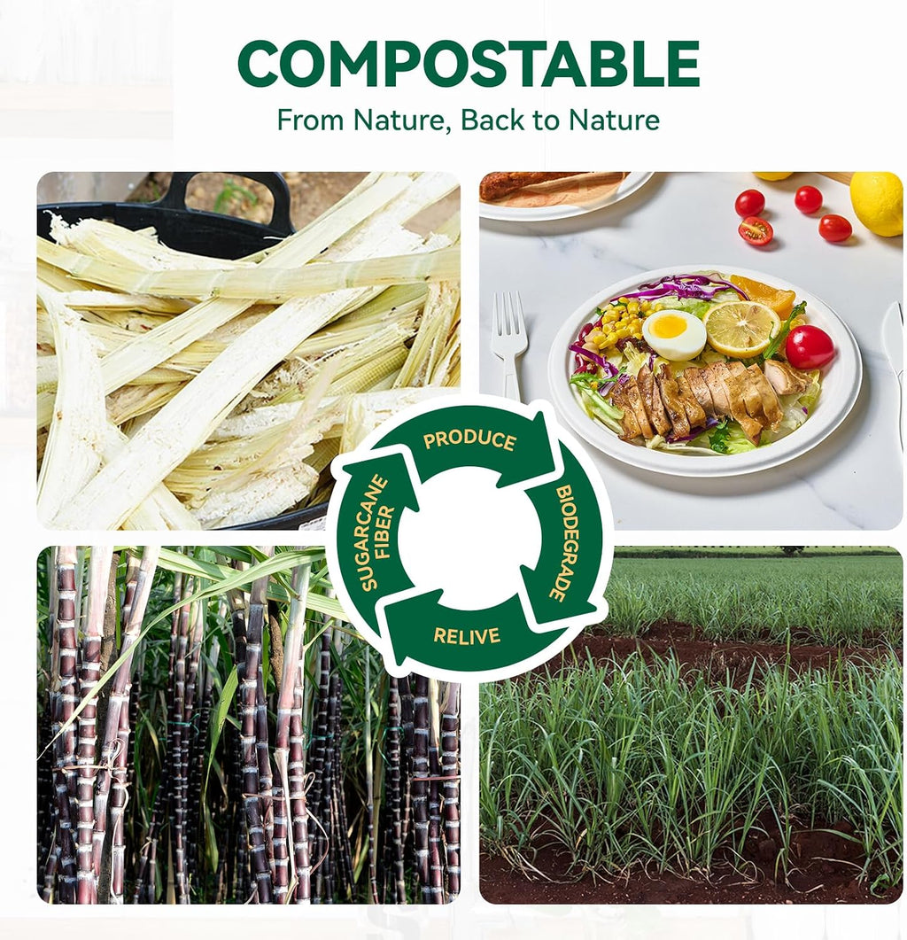 9 Inch Paper Plates, White Compostable Plates 150 Pack