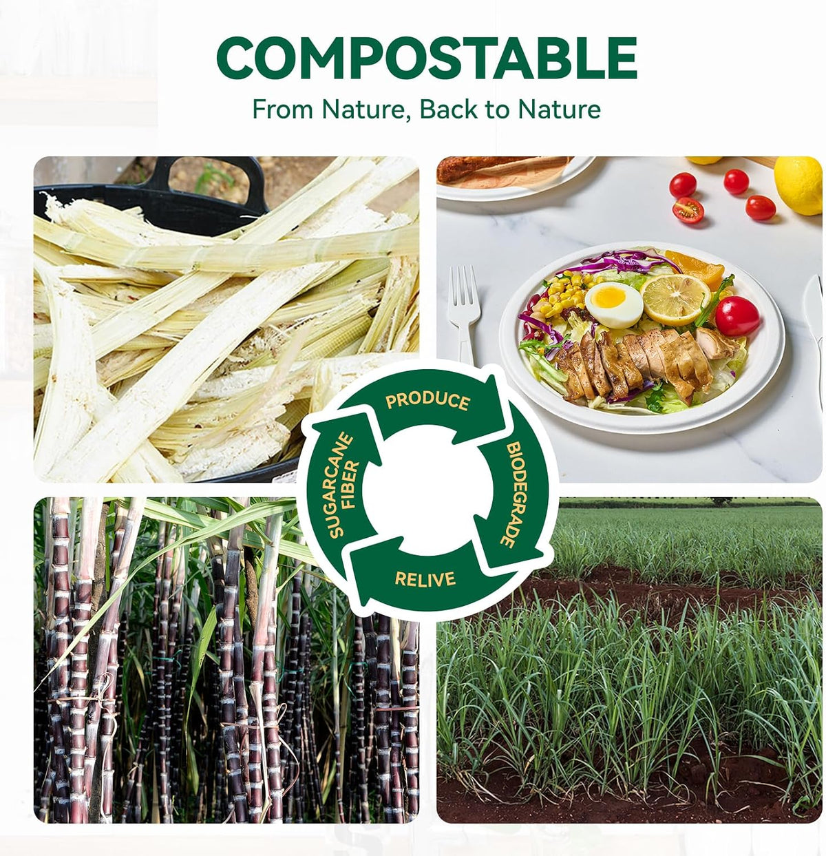 9 Inch Paper Plates, White Compostable Plates 150 Pack