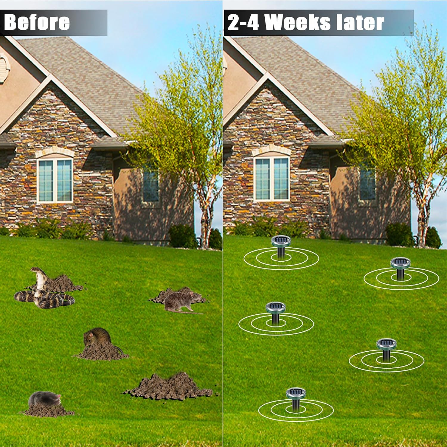Mole Repellent Solar Powered 10 Pack Snake Repellent Ultrasonic, Groundhog Repeller,Gopher Repeller Sonic Mole