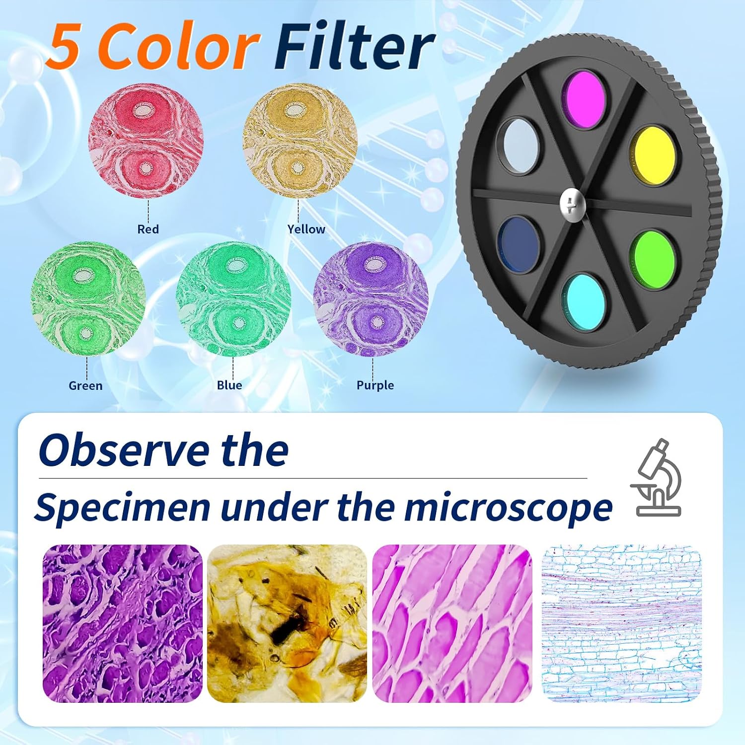 Microscope for Adults & Kids, 40X-2500X High-Power Compound Microscope for Students, School Lab & Home